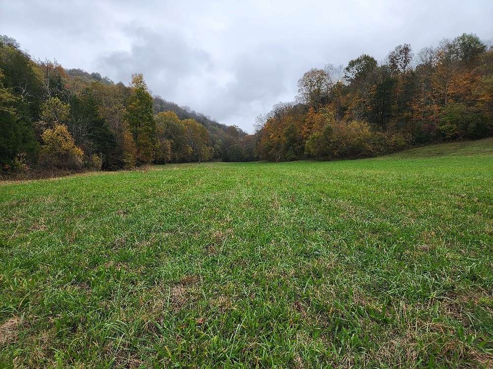 5 Acres of Residential Land for Sale in Liberty, Tennessee
