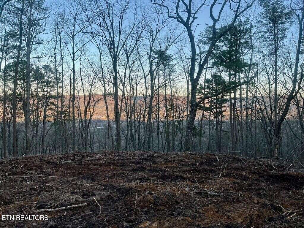 198 Acres of Land for Sale in Pikeville, Tennessee