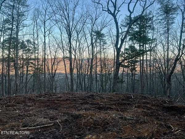 198 Acres of Recreational & Residential Land for Sale in Pikeville, Tennessee