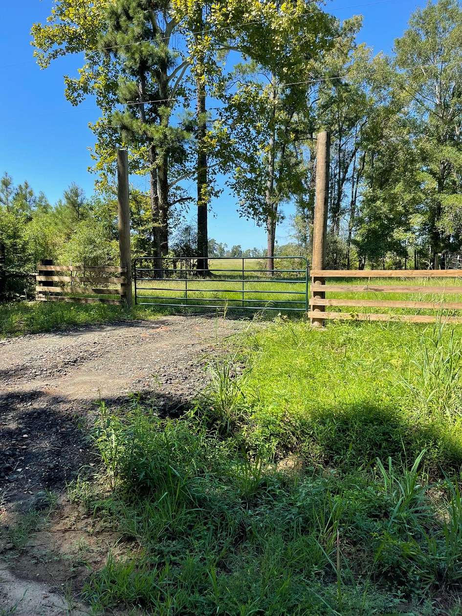 37.4 Acres of Agricultural Land for Sale in Many, Louisiana