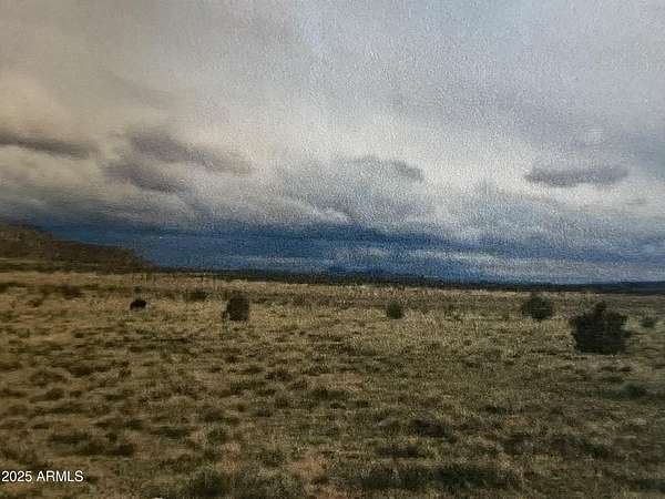 36.6 Acres of Land for Sale in Seligman, Arizona