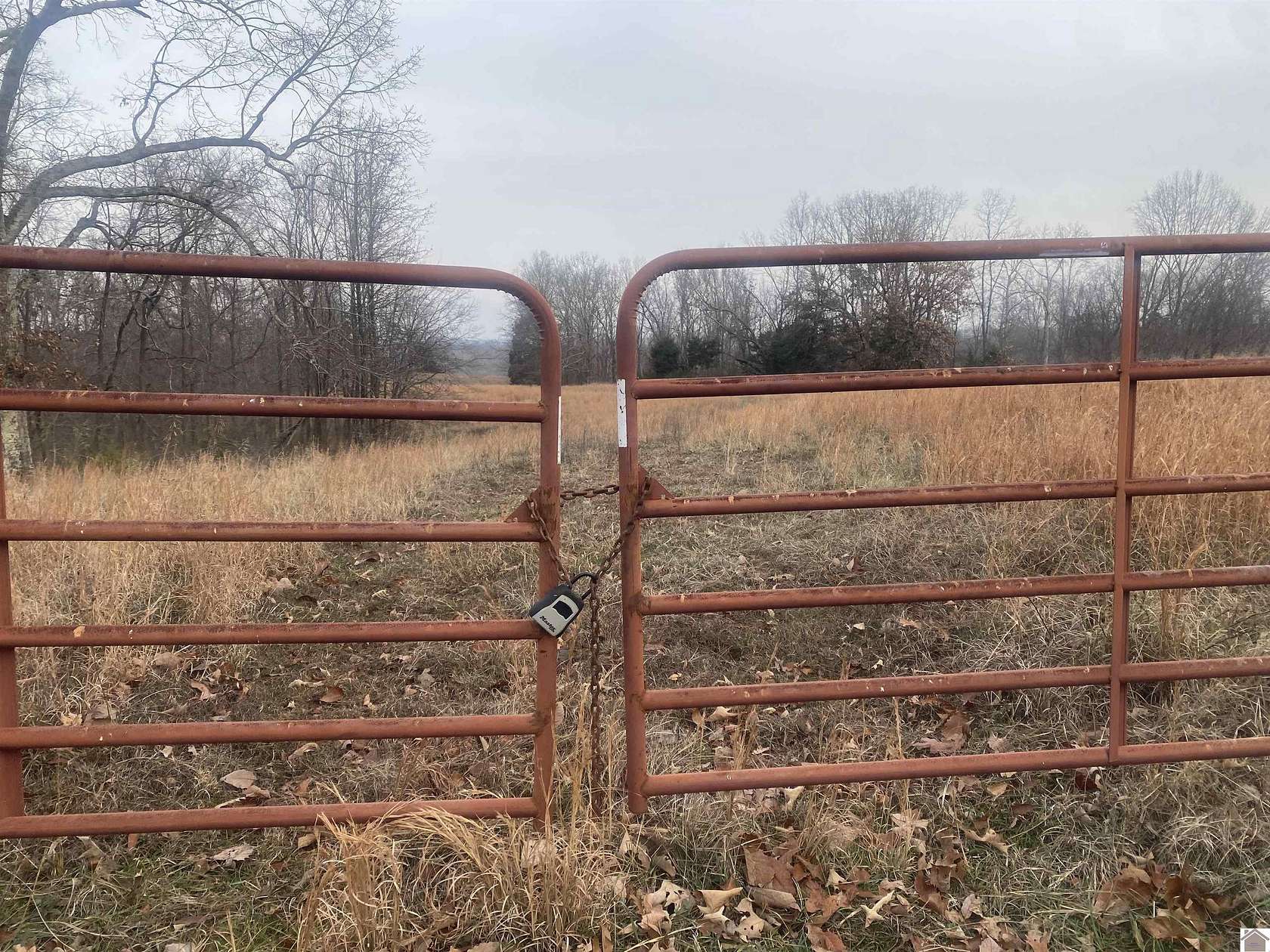 57.6 Acres of Land for Sale in Cadiz, Kentucky