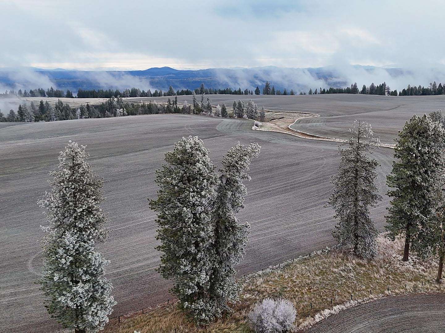 766 Acres of Land for Sale in Nezperce, Idaho