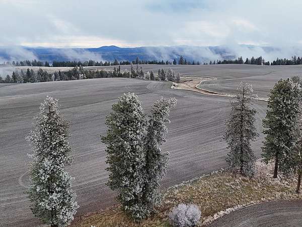 766 Acres of Land for Sale in Nezperce, Idaho