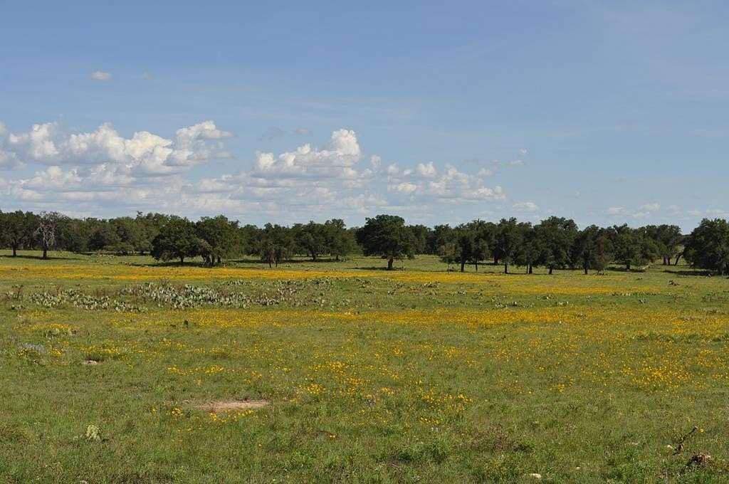 157 Acres of Land for Sale in Harper, Texas