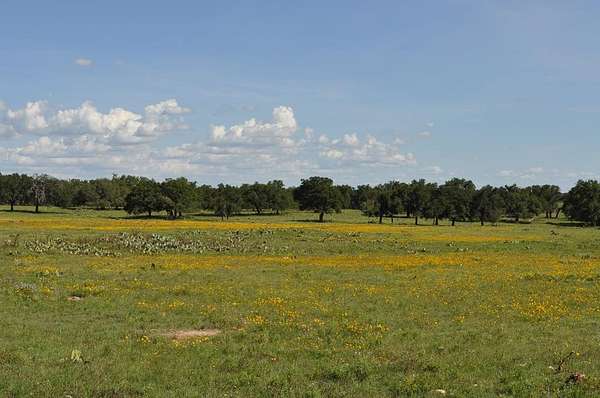 157 Acres of Land for Sale in Harper, Texas