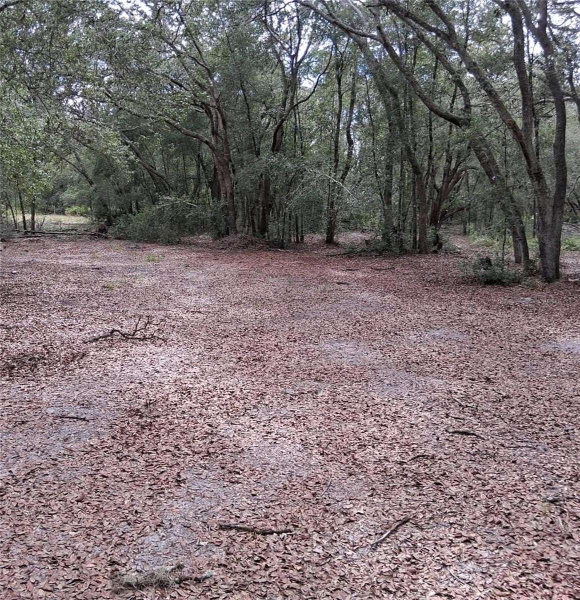 1.16 Acres of Residential Land for Sale in Webster, Florida