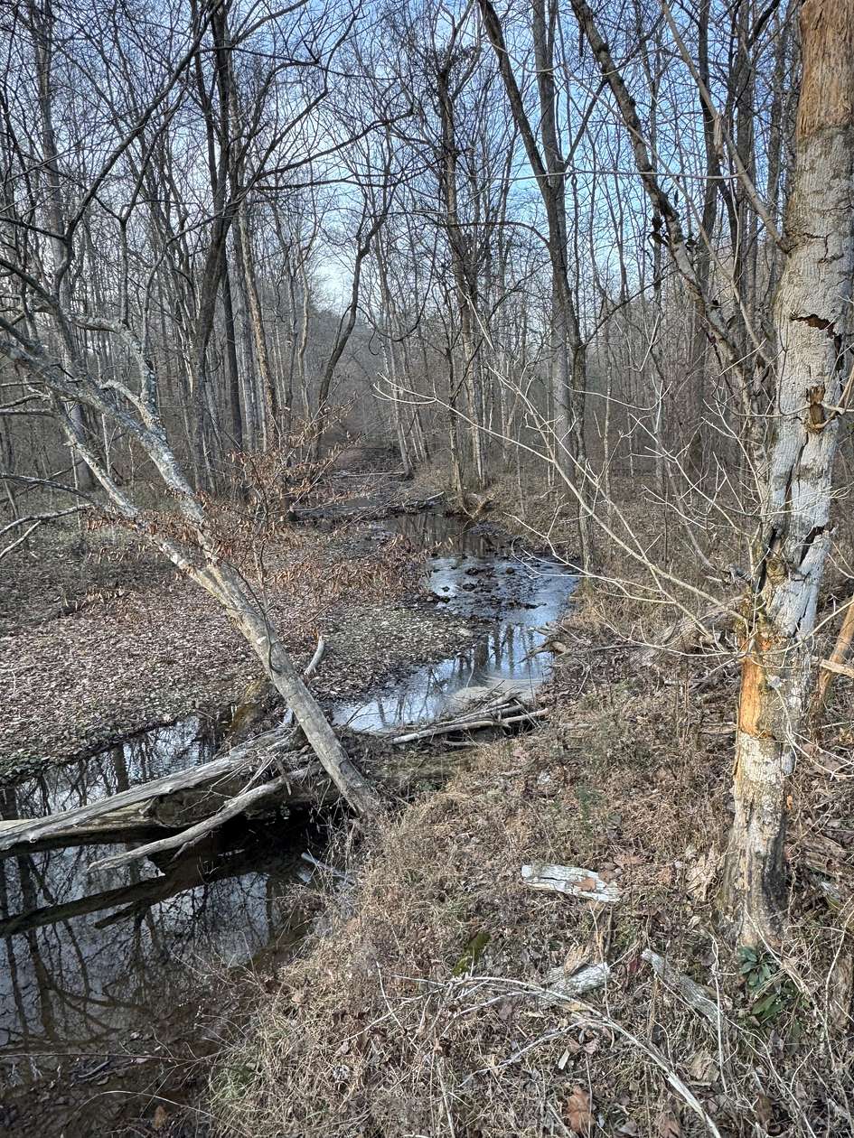 5 Acres of Residential Land for Sale in Ashland City, Tennessee