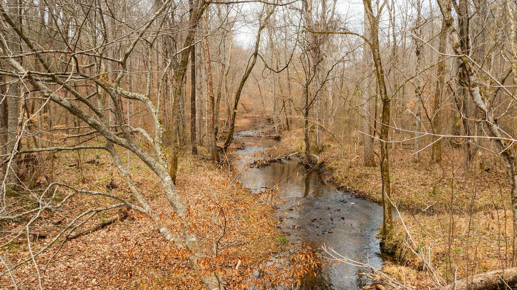 5 Acres of Residential Land for Sale in Ashland City, Tennessee