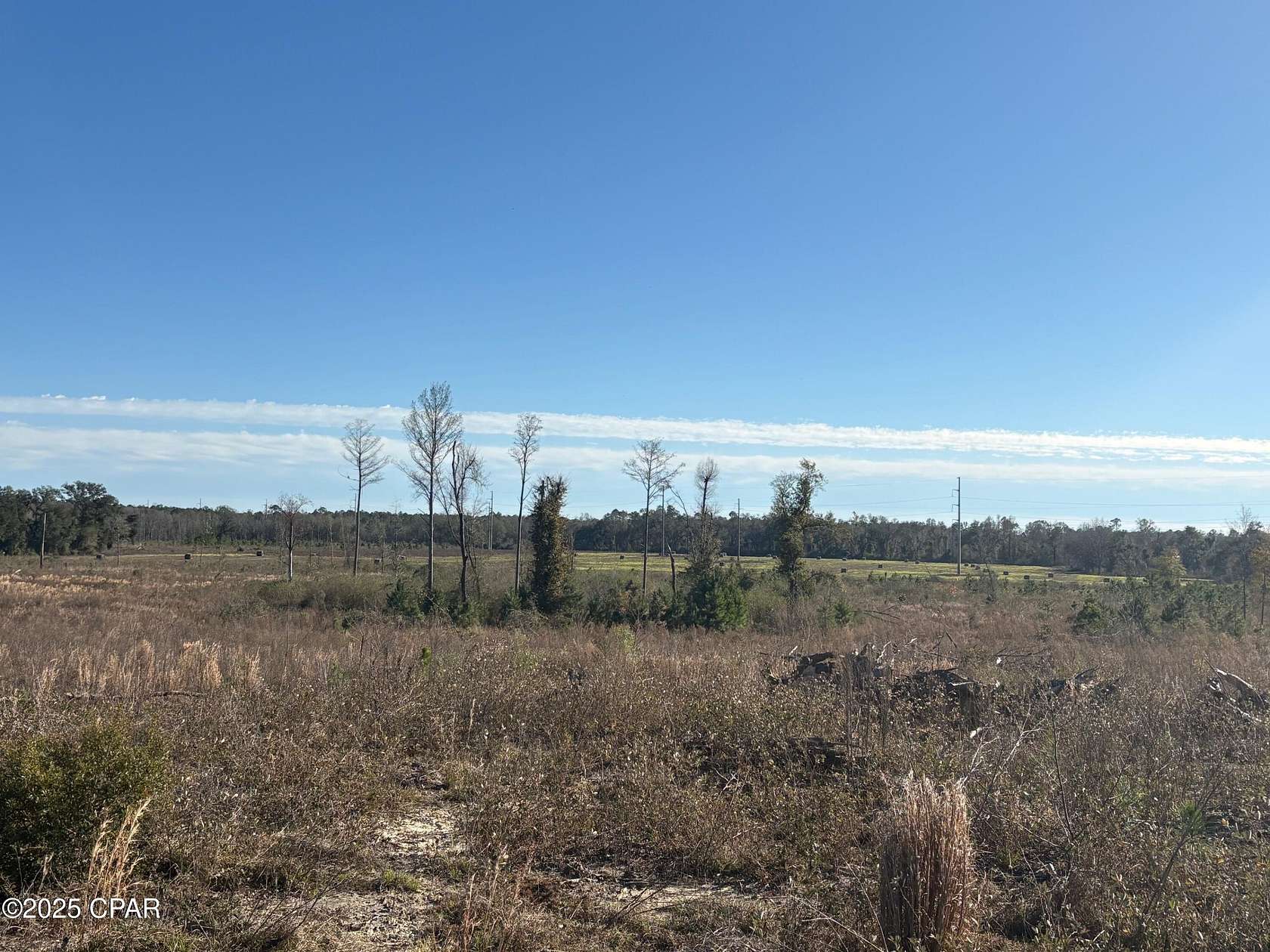163 Acres of Land for Sale in Graceville, Florida