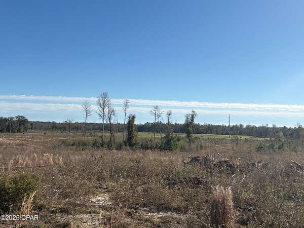 163 Acres of Land for Sale in Graceville, Florida