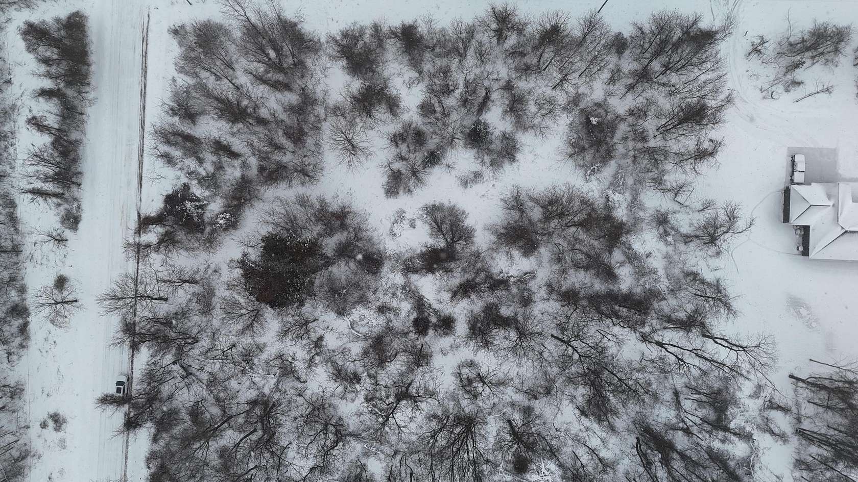 3.63 Acres of Residential Land for Sale in Cassopolis, Michigan