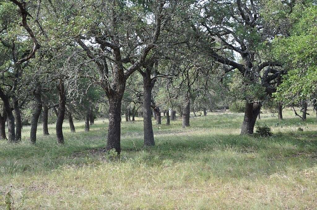10 Acres of Land for Sale in Harper, Texas