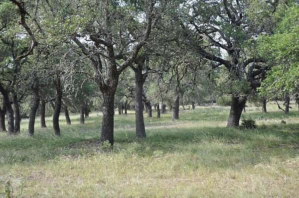 10 Acres of Land for Sale in Harper, Texas