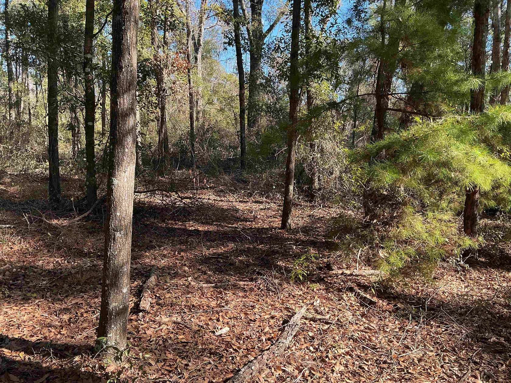 5 Acres of Residential Land for Sale in Greenville, Florida