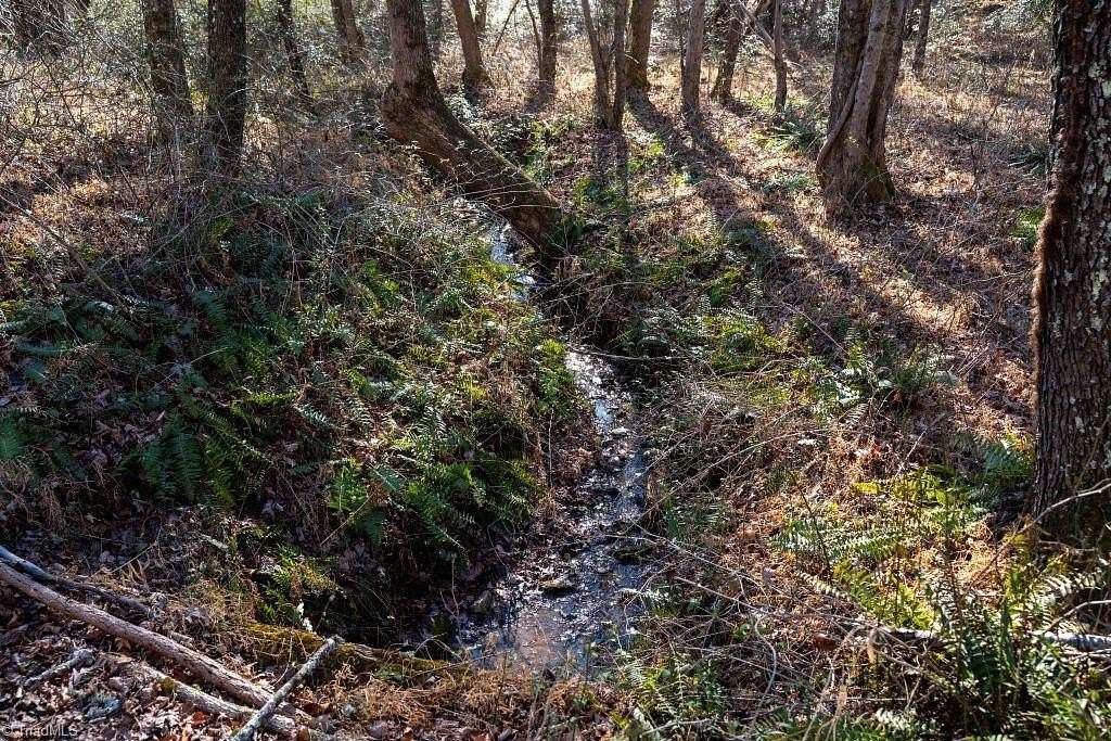 6.16 Acres of Residential Land for Sale in Pilot Mountain, North Carolina