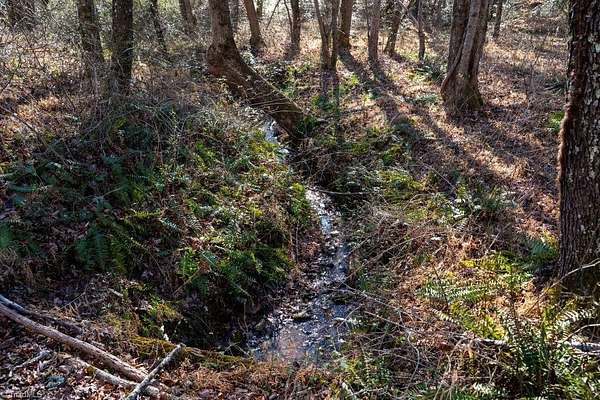 6.16 Acres of Land for Sale in Pilot Mountain, North Carolina