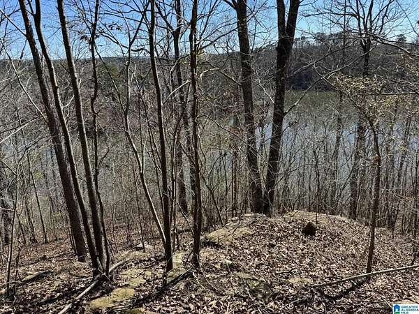 0.02 Acres of Residential Land for Sale in Oneonta, Alabama