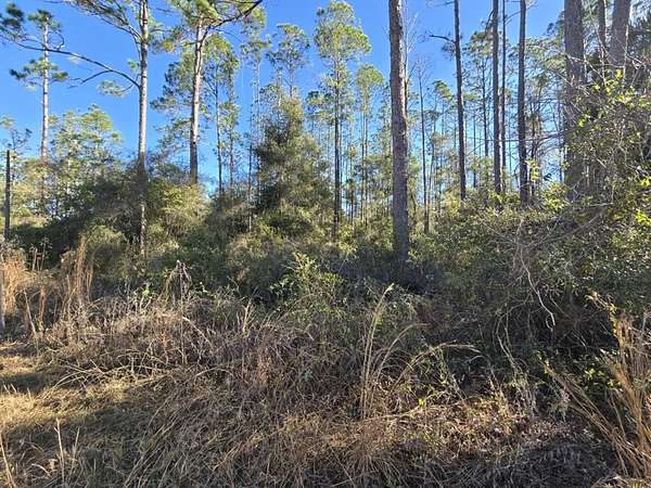 3.13 Acres of Residential Land for Sale in Old Town, Florida