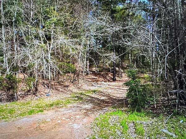 3 Acres of Land for Sale in Palestine, Texas