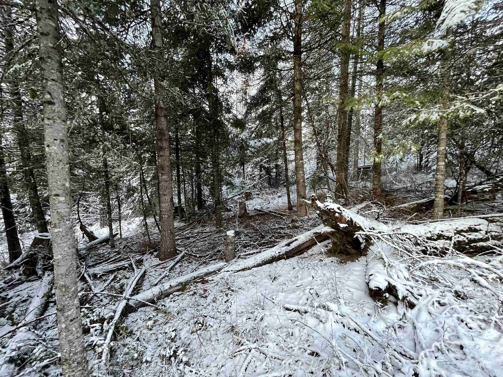 2.2 Acres of Land for Sale in Helmer, Idaho