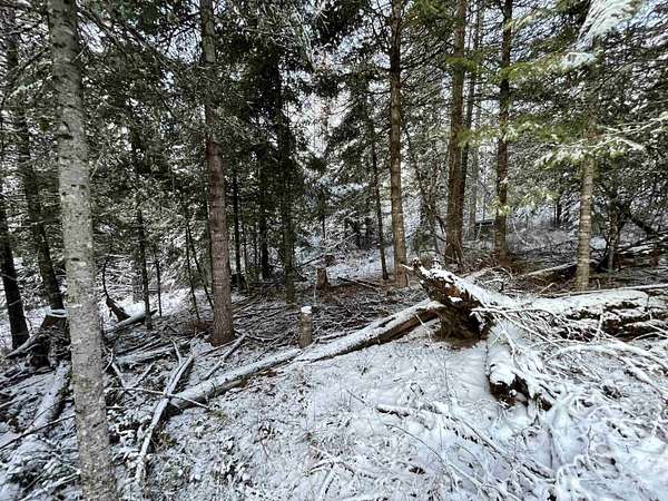 2.2 Acres of Land for Sale in Helmer, Idaho