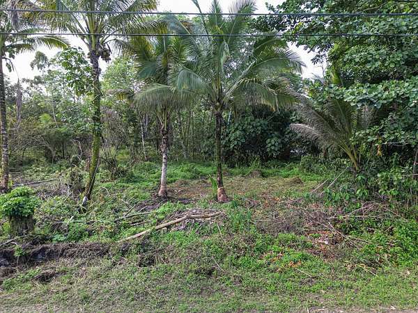 1 Acre of Land for Sale in Keaau, Hawaii