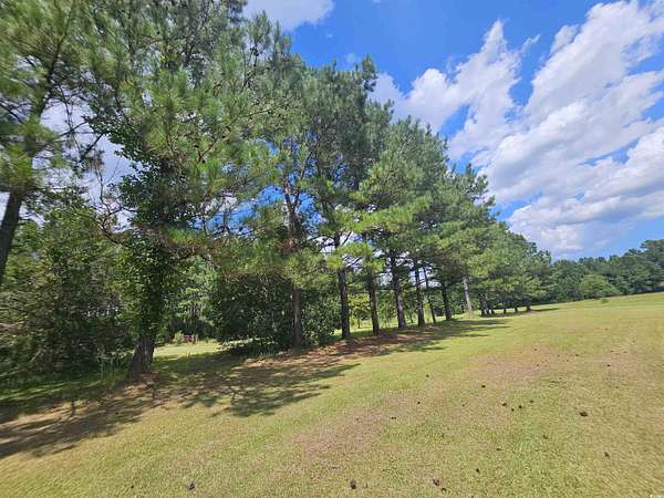 23 Acres of Improved Agricultural Land for Sale in Loris, South Carolina