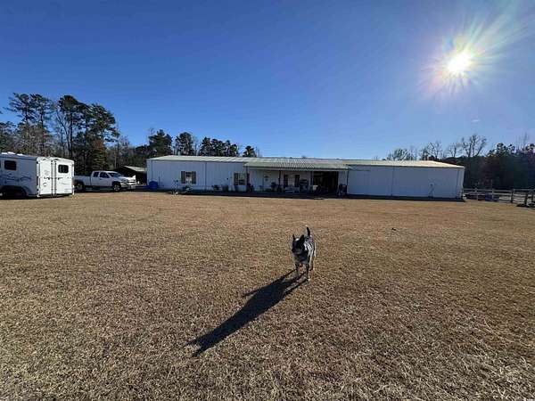 23 Acres of Improved Agricultural Land for Sale in Loris, South Carolina