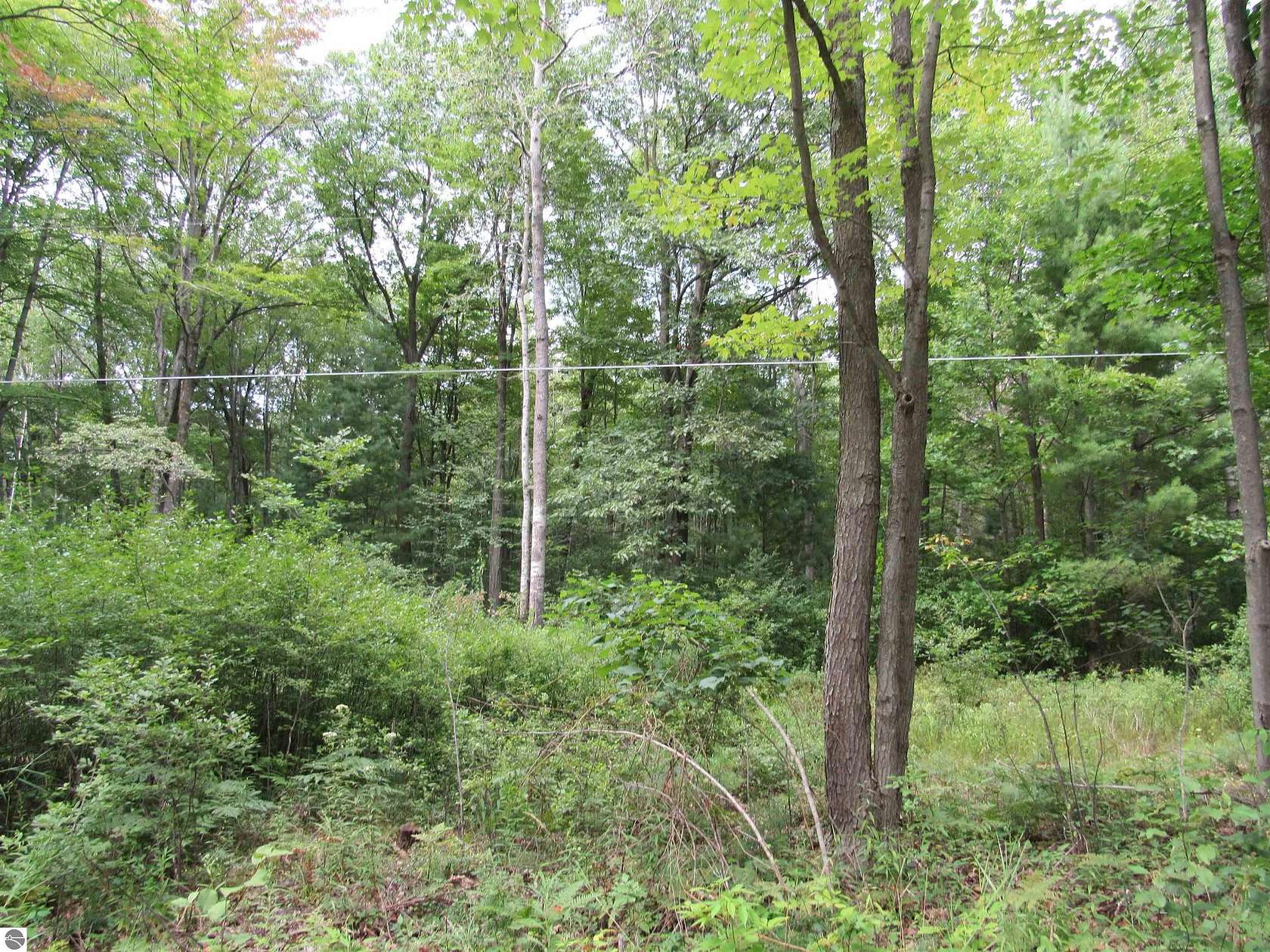 1 Acre of Residential Land for Sale in Tawas City, Michigan