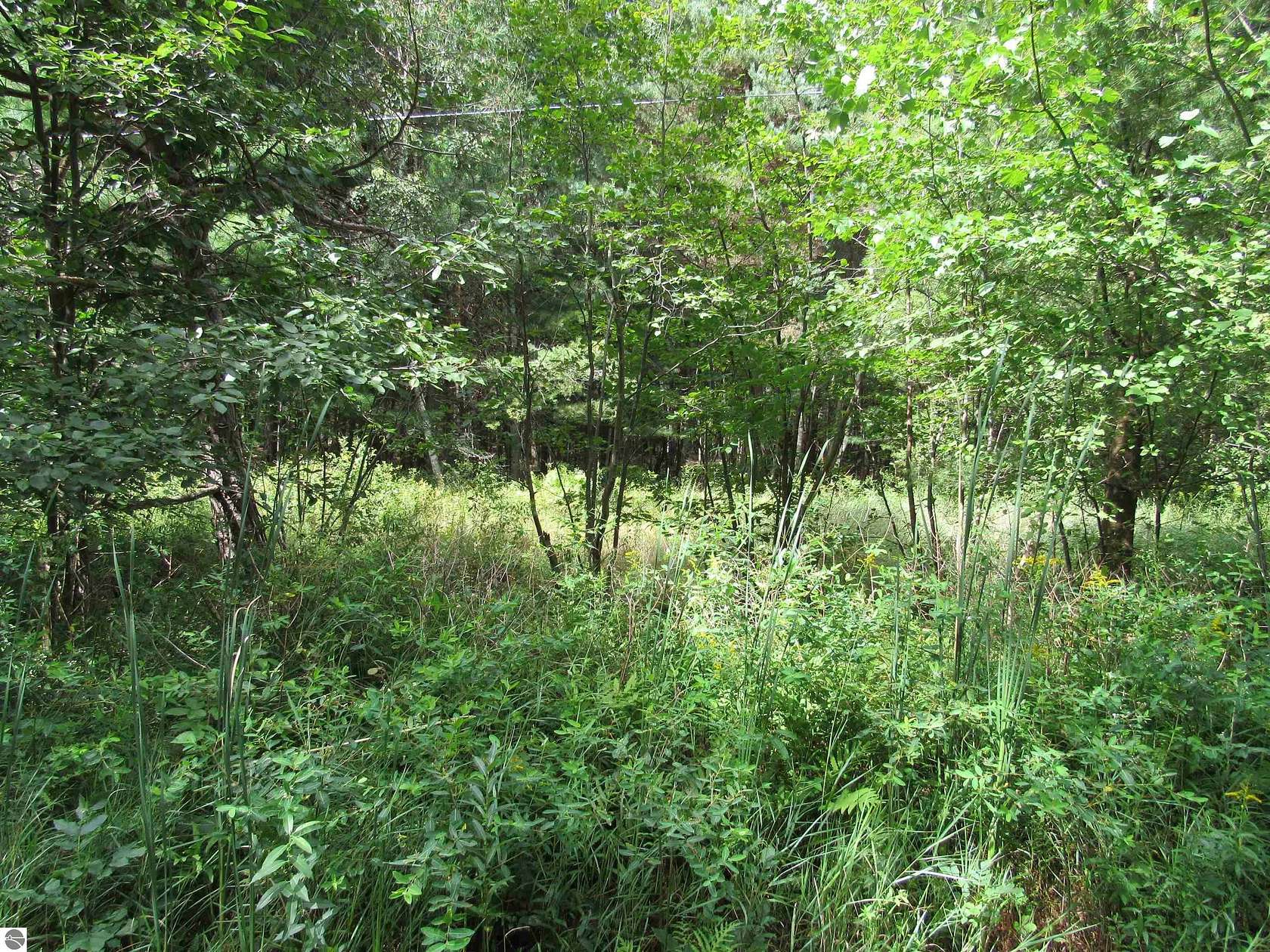 1 Acre of Residential Land for Sale in Tawas City, Michigan