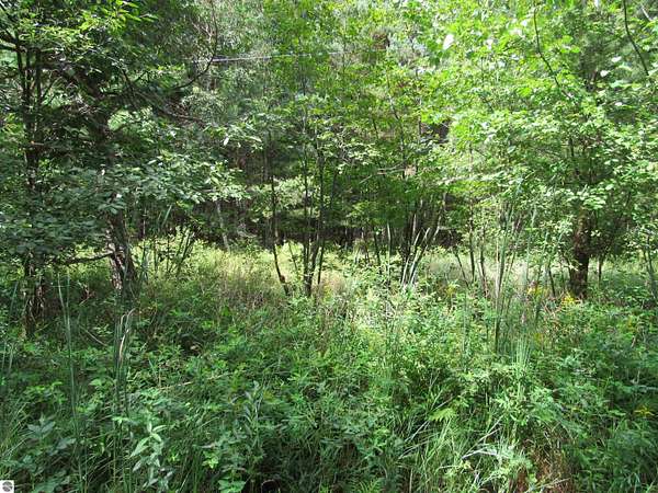 1 Acre of Residential Land for Sale in Tawas City, Michigan