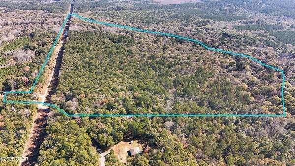 78.4 Acres of Recreational Land for Sale in Ponce de Leon, Florida