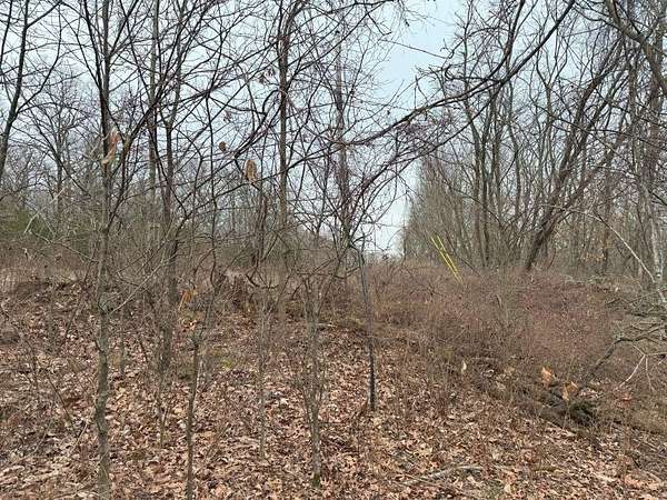 10.2 Acres of Recreational Land for Sale in Canehill, Arkansas