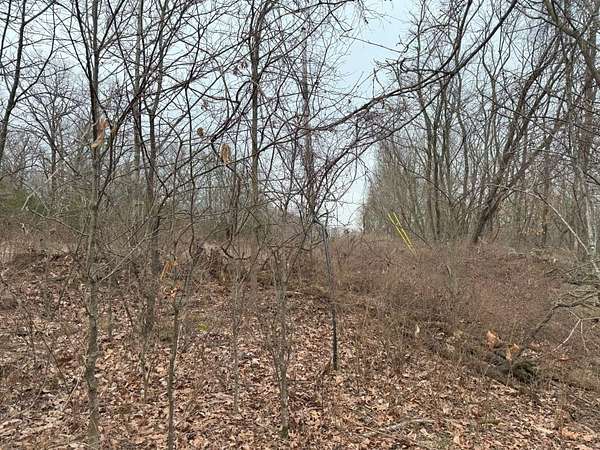 10.2 Acres of Recreational Land for Sale in Canehill, Arkansas