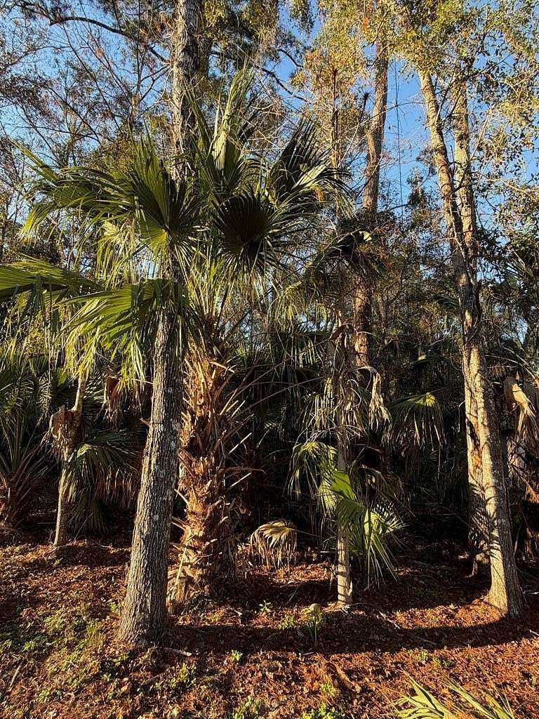 0.23 Acres of Land for Sale in Chiefland, Florida
