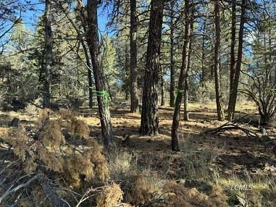 2.3 Acres of Residential Land for Sale in Bonanza, Oregon