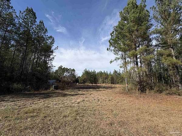5.24 Acres of Residential Land for Sale in Jay, Florida