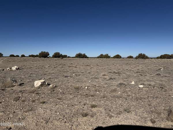 40 Acres of Recreational Land for Sale in St. Johns, Arizona