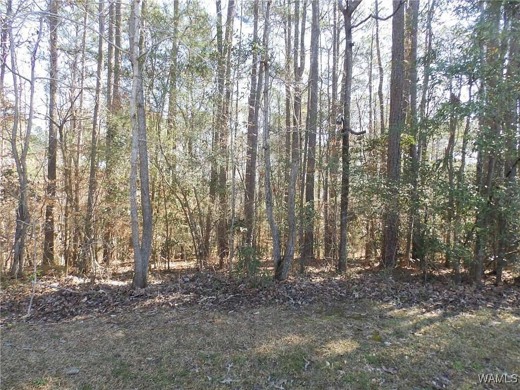 103 Acres of Land for Sale in Tuscaloosa, Alabama