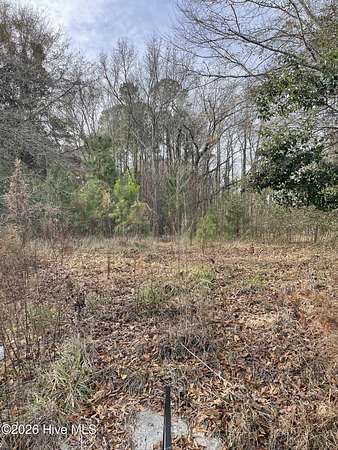 3 Acres of Residential Land for Sale in Winfall, North Carolina