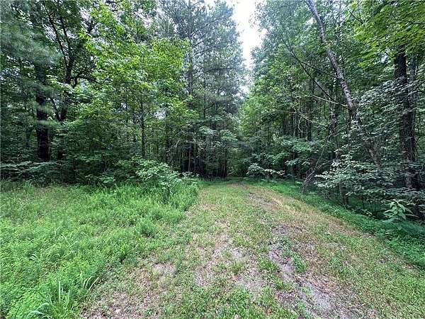 22.2 Acres of Recreational Land for Sale in Talking Rock, Georgia