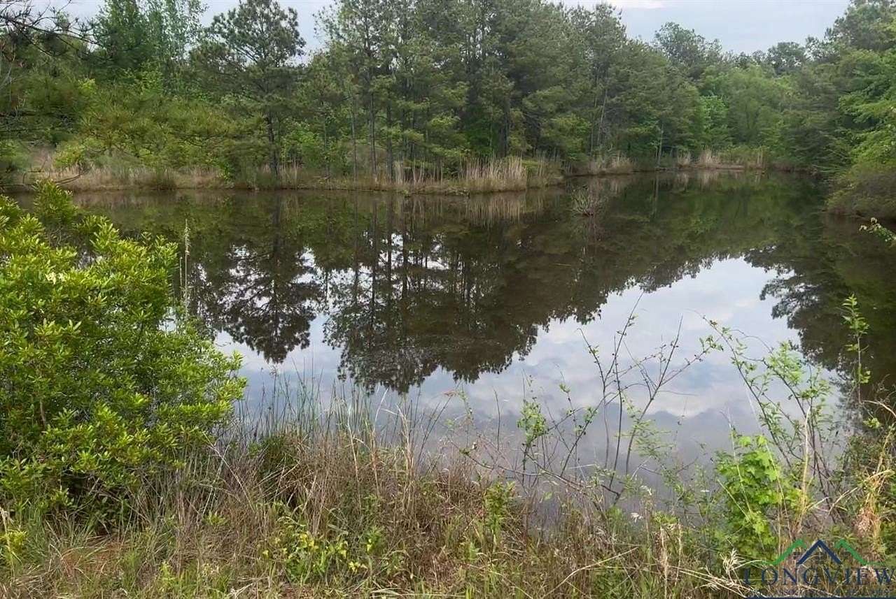 29 Acres of Recreational & Residential Land for Sale in Longview, Texas