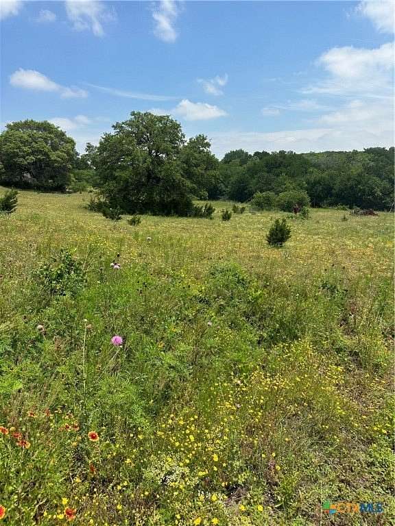 6 Acres of Residential Land for Sale in Oglesby, Texas