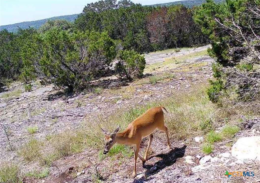 6 Acres of Residential Land for Sale in Oglesby, Texas