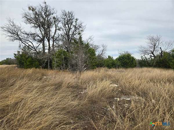 6 Acres of Residential Land for Sale in Oglesby, Texas