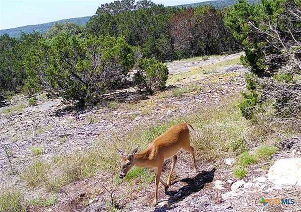 6 Acres of Residential Land for Sale in Oglesby, Texas