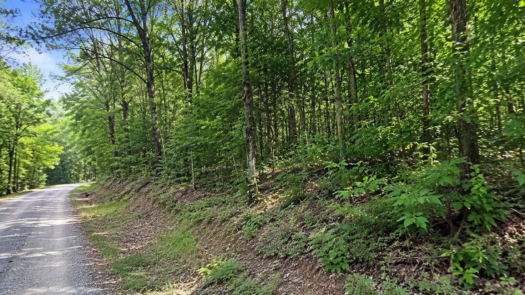 0.93 Acres of Residential Land for Sale in Horseshoe Bend, Arkansas