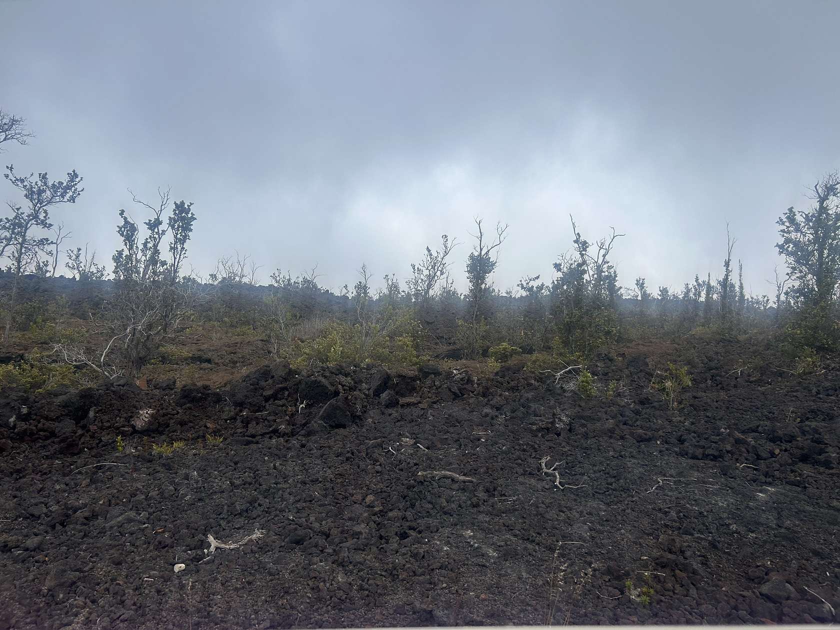 1 Acre of Land for Sale in Hawaiian Ocean View, Hawaii