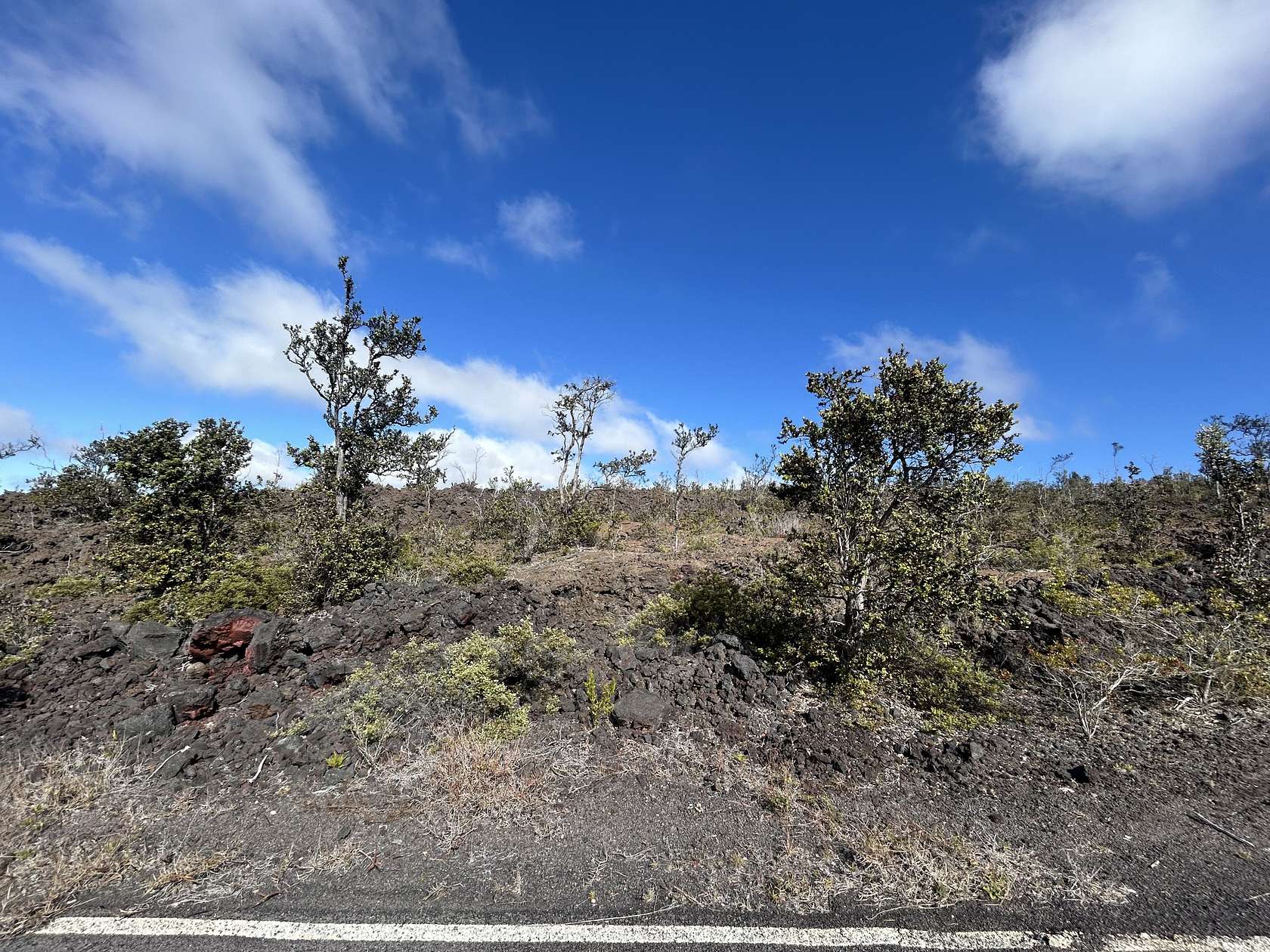 1 Acre of Land for Sale in Hawaiian Ocean View, Hawaii